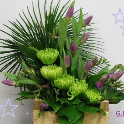 Composition in conteiners FL22333