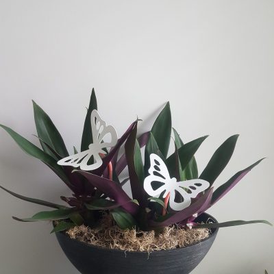 Garden composition FL33222