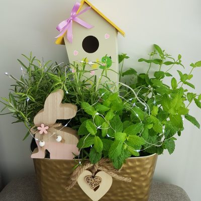 Garden composition FL33111