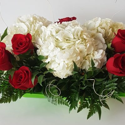 Composition in conteiners FL22555