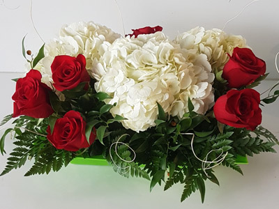 COMPOSITION IN CONTAINER